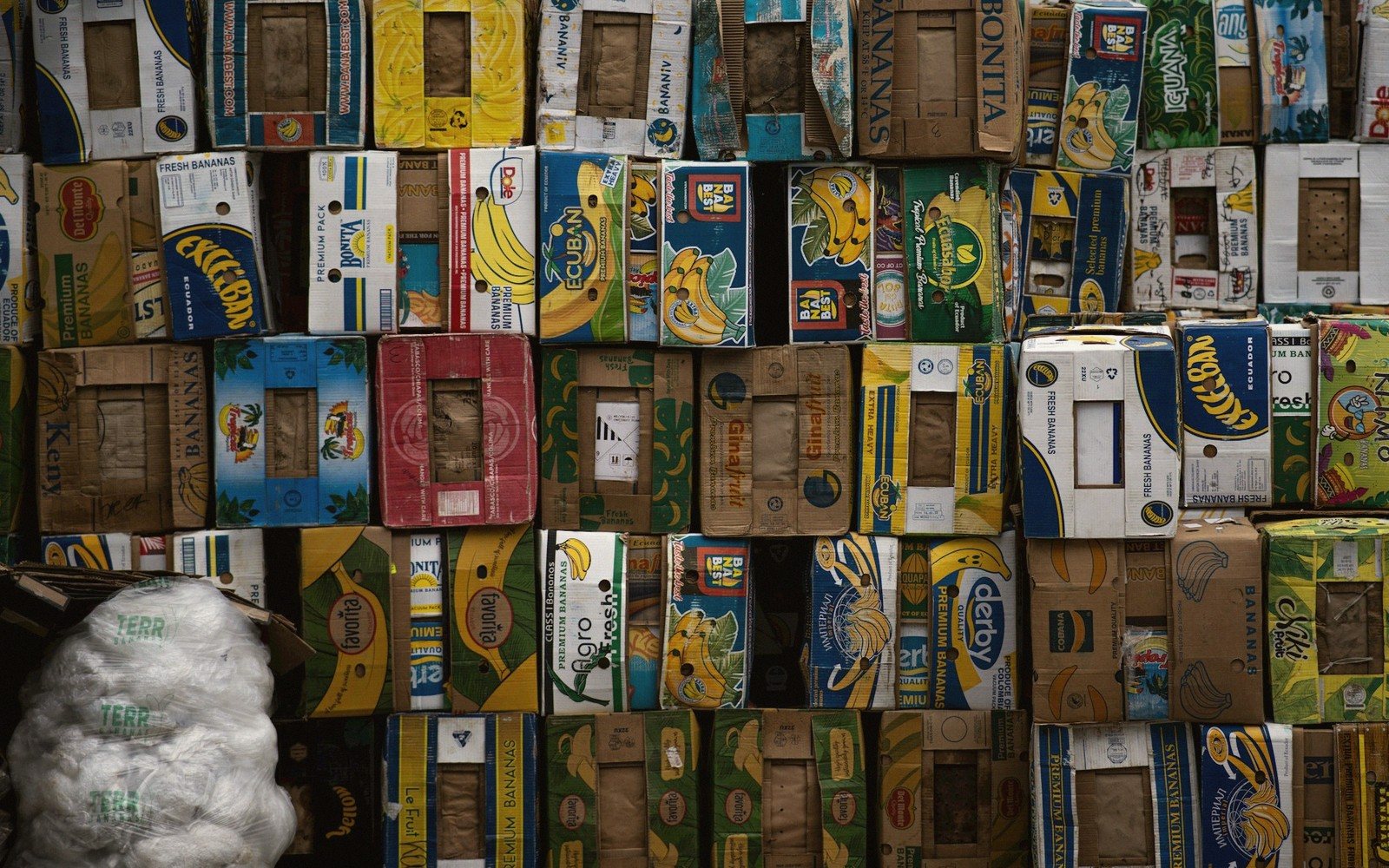 A charity shop interior